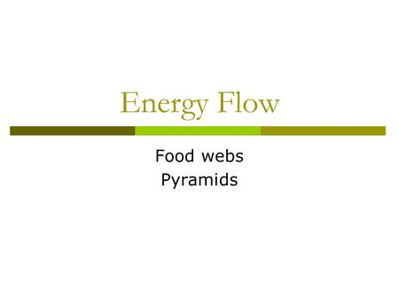 Energy Flow Food webs Pyramids. Classifying Organisms  Producer: organisms that can use inorganic sources to make their own food (e.g. plants)  Consumer: