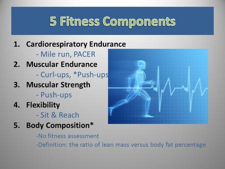 1.Cardiorespiratory Endurance - Mile run, PACER 2.Muscular Endurance - Curl-ups, *Push-ups 3.Muscular Strength - Push-ups 4.Flexibility - Sit & Reach 5.Body.