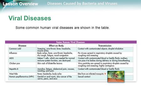 Lesson Overview Lesson Overview Diseases Caused by Bacteria and Viruses Viral Diseases Some common human viral diseases are shown in the table.