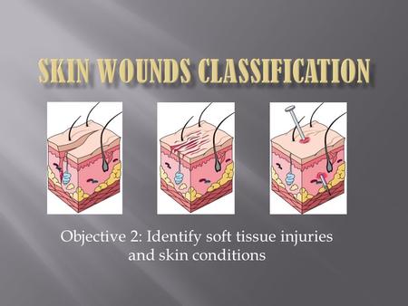 Objective 2: Identify soft tissue injuries and skin conditions.