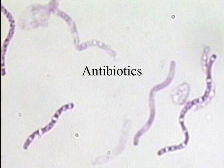 Antibiotics. Overview If bacteria make it past our immune system and start reproducing inside our bodies, they cause disease.immune system Certain bacteria.