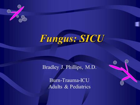 Fungus: SICU Bradley J. Phillips, M.D. Burn-Trauma-ICU Adults & Pediatrics.