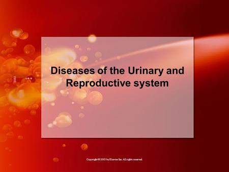 Copyright © 2005 by Elsevier Inc. All rights reserved. Slide 1 Diseases of the Urinary and Reproductive system Copyright © 2005 by Elsevier Inc. All rights.