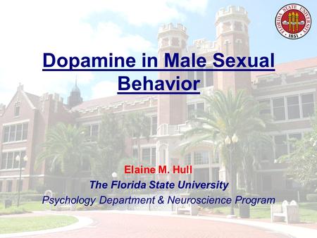 Dopamine in Male Sexual Behavior Elaine M. Hull The Florida State University Psychology Department & Neuroscience Program.