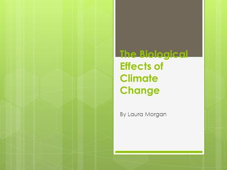 The Biological Effects of Climate Change By Laura Morgan.