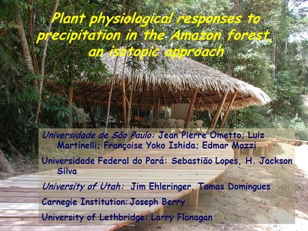 Plant physiological responses to precipitation in the Amazon forest, an isotopic approach Universidade de São Paulo: Jean Pierre Ometto; Luiz Martinelli;