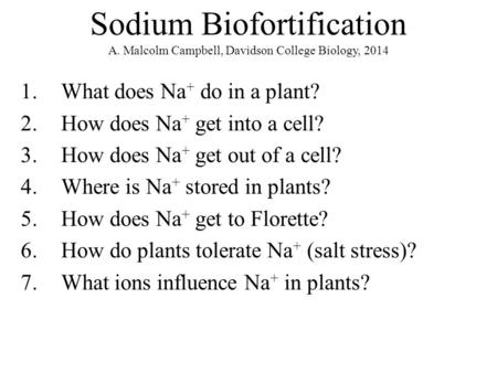 1.What does Na + do in a plant? 2.How does Na + get into a cell? 3.How does Na + get out of a cell? 4.Where is Na + stored in plants? 5.How does Na + get.