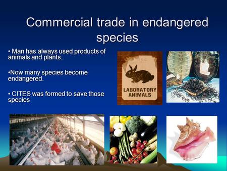 Commercial trade in endangered species Man has always used products of animals and plants. Man has always used products of animals and plants. Now many.