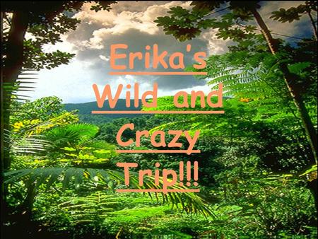 Erika’s Wild and Crazy Trip!!! Ideas for Today and Tomorrow 1 Vacation Itinerary Day 1-Leave San Antonio and fly to Kansas City, Kansas. Arrive in Kansas.