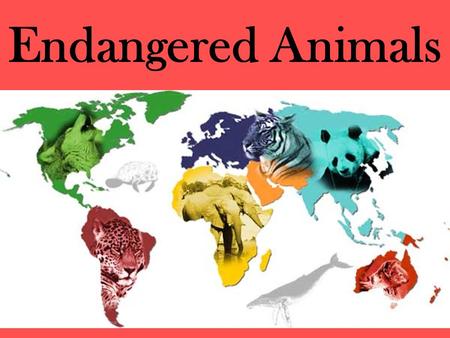 Endangered Animals. What does “endangered” mean? According to the 1973 US Endangered Species Act, animals are defined as endangered if the species is.