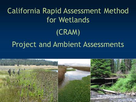 California Rapid Assessment Method for Wetlands (CRAM) Project and Ambient Assessments.