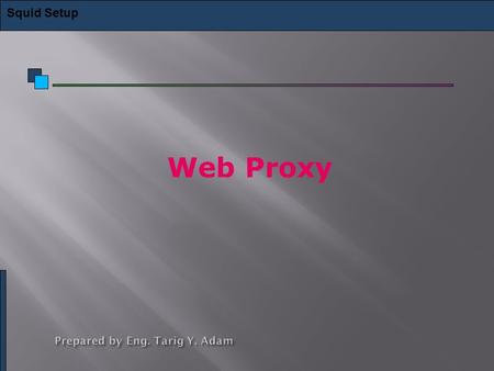 Web Proxy Squid Setup. A proxy is a host which relays web access requests from clients a proxy server is an application program that acts as an intermediary.