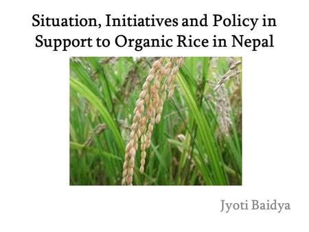 Situation, Initiatives and Policy in Support to Organic Rice in Nepal Jyoti Baidya.