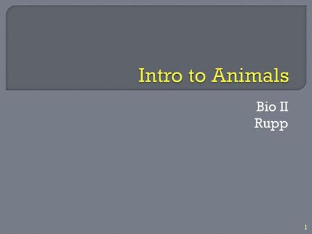 Bio II Rupp 1. VERTEBRATE—ANY ANIMAL WITH A BACKBONE INVERTEBRATE—ANY ANIMAL WITHOUT A BACKBONE 2.