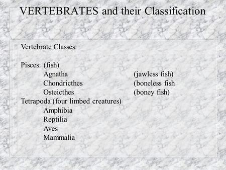 VERTEBRATES and their Classification