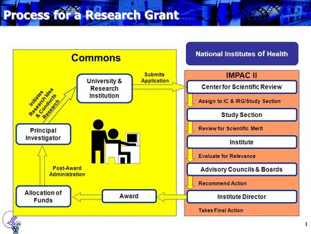 1 Process for a Research Grant National Institutes of Health IMPAC II Center for Scientific Review Study Section Institute Advisory Councils & Boards Assign.