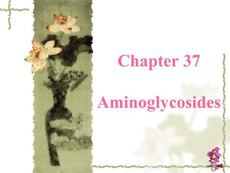 Chapter 37 Aminoglycosides