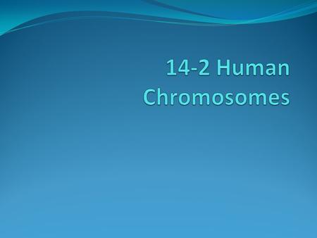 14-2 Human Chromosomes.