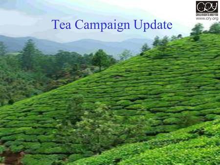 Tea Campaign Update. Volunteers visit the Tea Gardens The Legal Advocacy Group and an IIM group undertook field visit to the tea garden area in North.