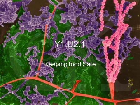 Y1.U2.1 Keeping food Safe. Objectives Analyze evidence to determine the presence of foodborne-illness outbreaks Recognize risks associated with high-risk.