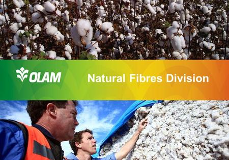 Natural Fibres Division. The Brand Behind The Brands 2 Olam History: Rapid Growth & Expansion Transitioned from a Trader to an Integrated Global Supply.
