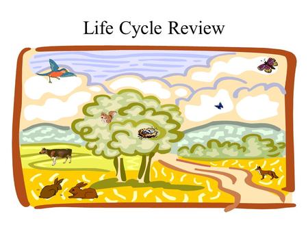 Life Cycle Review A pond is a natural _____________ for tadpoles. habitat.