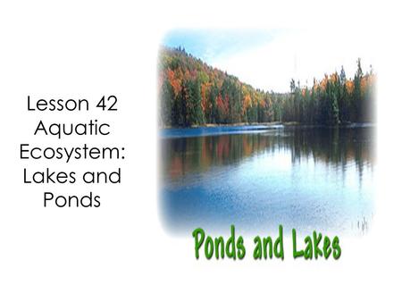 Lesson 42 Aquatic Ecosystem: Lakes and Ponds. As geographers study the many ecosystems around the world, many similarities or patterns become evident.