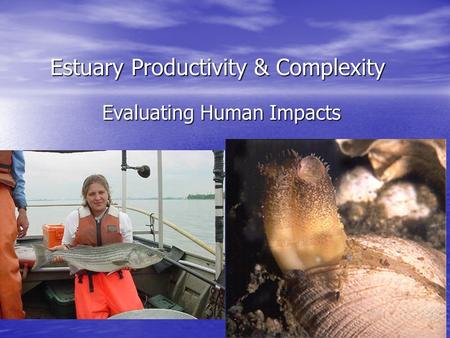 Estuary Productivity & Complexity Evaluating Human Impacts.