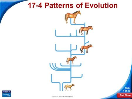 End Show Slide 1 of 25 Copyright Pearson Prentice Hall 17-4 Patterns of Evolution.