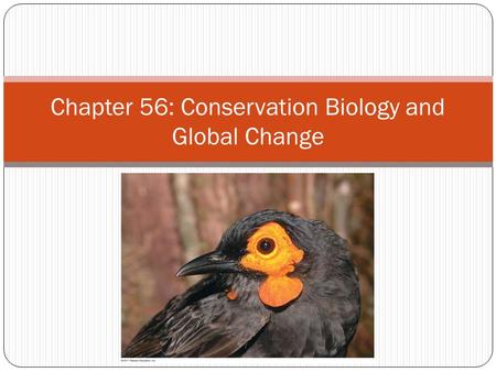 Chapter 56: Conservation Biology and Global Change