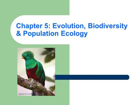 Chapter 5: Evolution, Biodiversity & Population Ecology