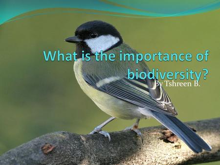 By Tshreen B.. What is biodiversity? Biodiversity is the number of different species within an area and also the genetic variation that exists within.