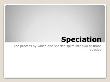 Speciation The process by which one species splits into two or more species.