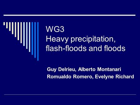 WG3 Heavy precipitation, flash-floods and floods Guy Delrieu, Alberto Montanari Romualdo Romero, Evelyne Richard.
