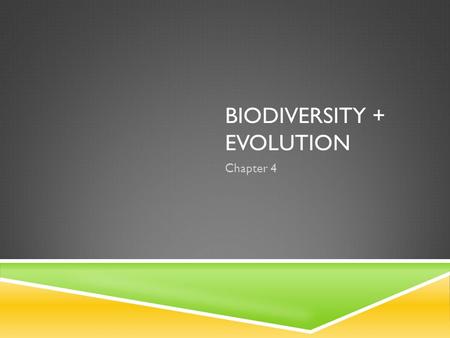 BIODIVERSITY + EVOLUTION Chapter 4. BRIDGING THE GAP  Biodiversity is all of the differences amongst the living world.  So how do topics already covered.