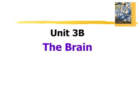 Unit 3B The Brain.  Lesion  tissue destruction  a brain lesion is a naturally or experimentally caused destruction of brain tissue.