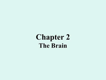 Chapter 2 The Brain. The Brain Technology to Study the Brain Electroencephalograph (EEG): records “waves” of electrical activity in the brain using metal.