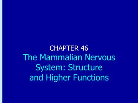 Chapter 46: The Mammalian Nervous System: Structure and Higher Functions CHAPTER 46 The Mammalian Nervous System: Structure and Higher Functions.