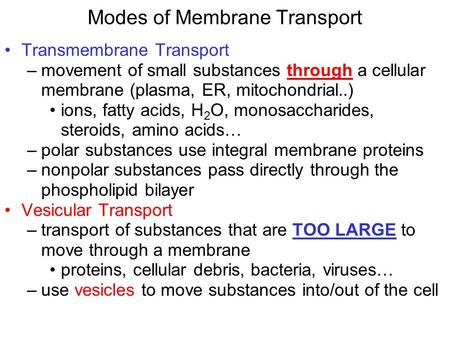Modes of Membrane Transport Transmembrane Transport –movement of small substances through a cellular membrane (plasma, ER, mitochondrial..) ions, fatty.