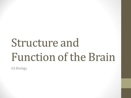 Structure and Function of the Brain A2 Biology. Learning Objectives Locate and state the functions of the regions of the human brain’s- Cerebral hemispheres.