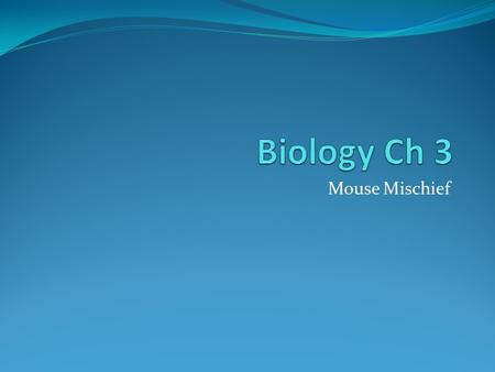 Biology Ch 3 Mouse Mischief.