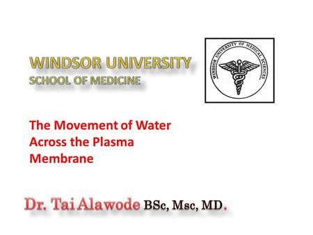 The Movement of Water Across the Plasma Membrane.