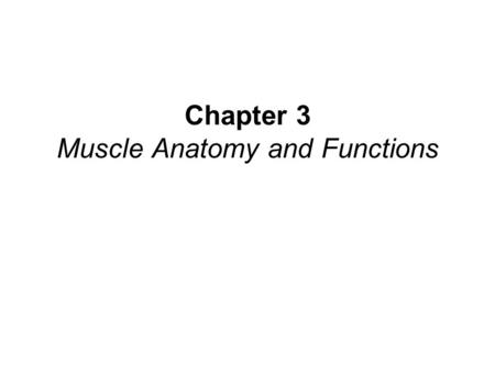 Chapter 3 Muscle Anatomy and Functions