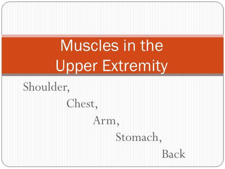 Shoulder, Chest, Arm, Stomach, Back Muscles in the Upper Extremity.