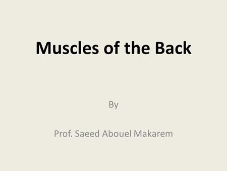 By Prof. Saeed Abouel Makarem