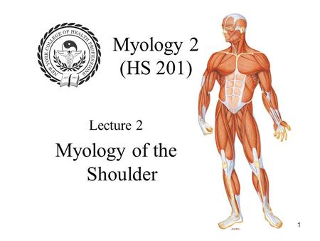 Myology of the Shoulder
