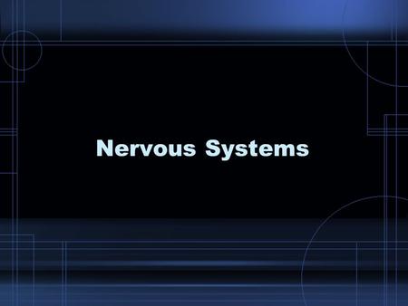 Nervous Systems. THINK ABOUT IT – Imagine that you are at a favorite place. Now, think about the way you experience that place. –You gather information.