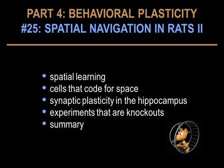  spatial learning  cells that code for space  synaptic plasticity in the hippocampus  experiments that are knockouts  summary PART 4: BEHAVIORAL PLASTICITY.