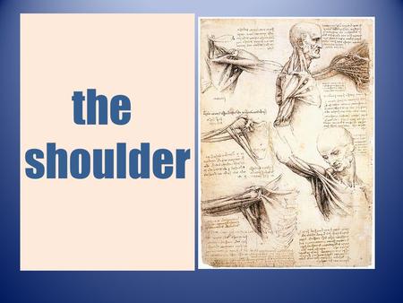 The shoulder. The shoulder  Passive elements  Active elements.