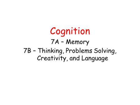 7B – Thinking, Problems Solving, Creativity, and Language